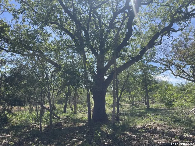10306 FM 1681 Nixon, TX 78140