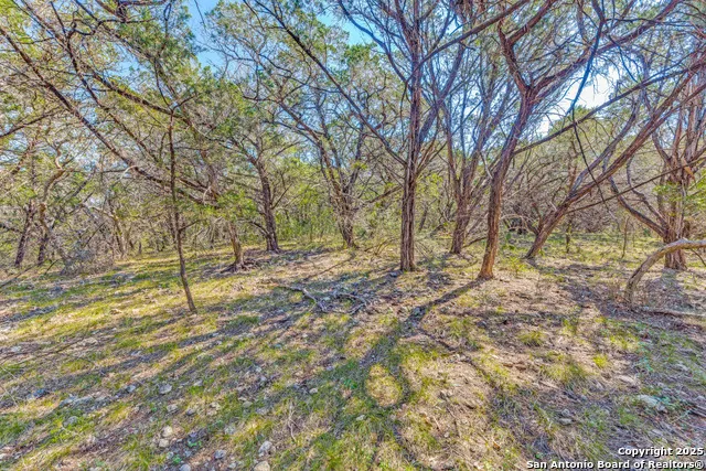 374 private road 1742 Mico, TX 78056