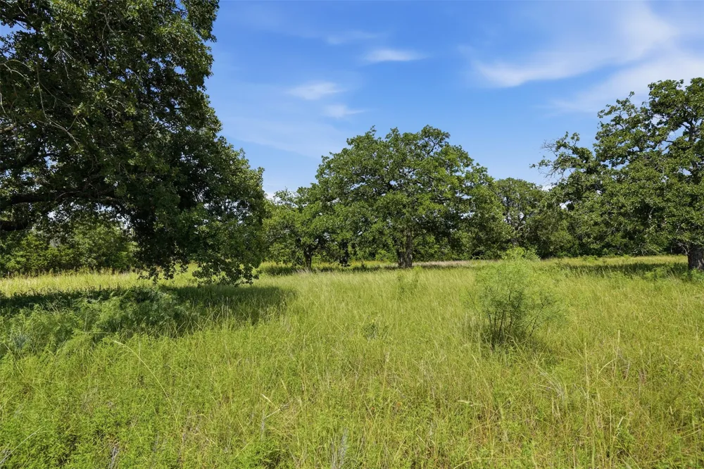 Mustang Ridge Perrin, TX 76486