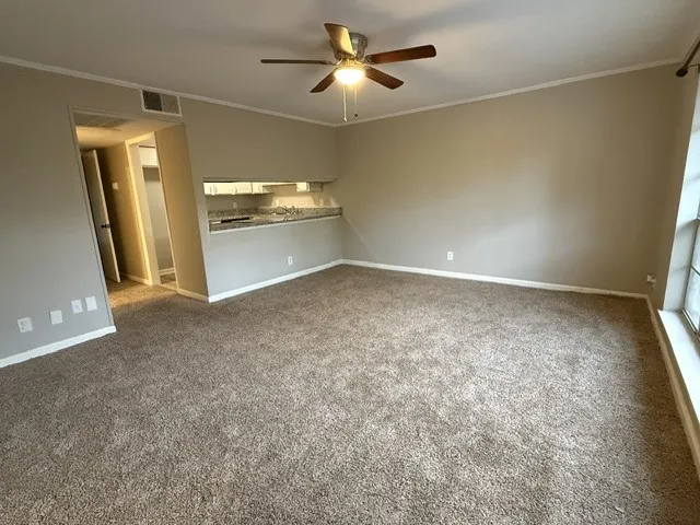 1820 E Kings Highway #247 Shreveport, LA 71105