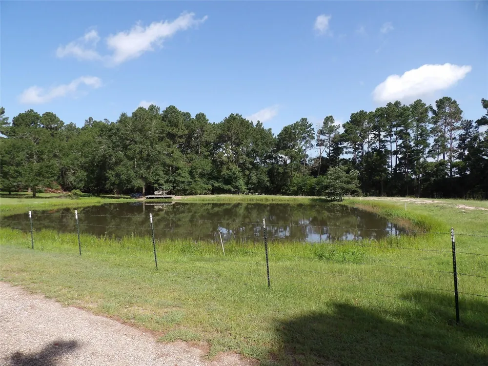 10967 Fm 1486 Road Richards, TX 77873