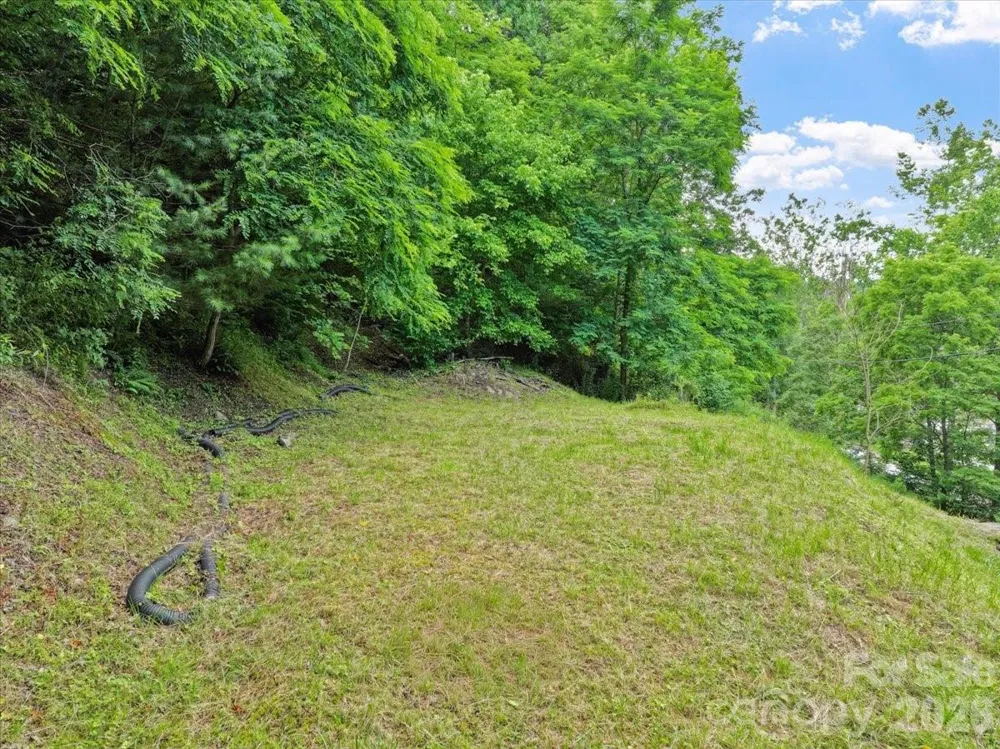 2079 Roses Branch Road Green Mountain, NC 28740