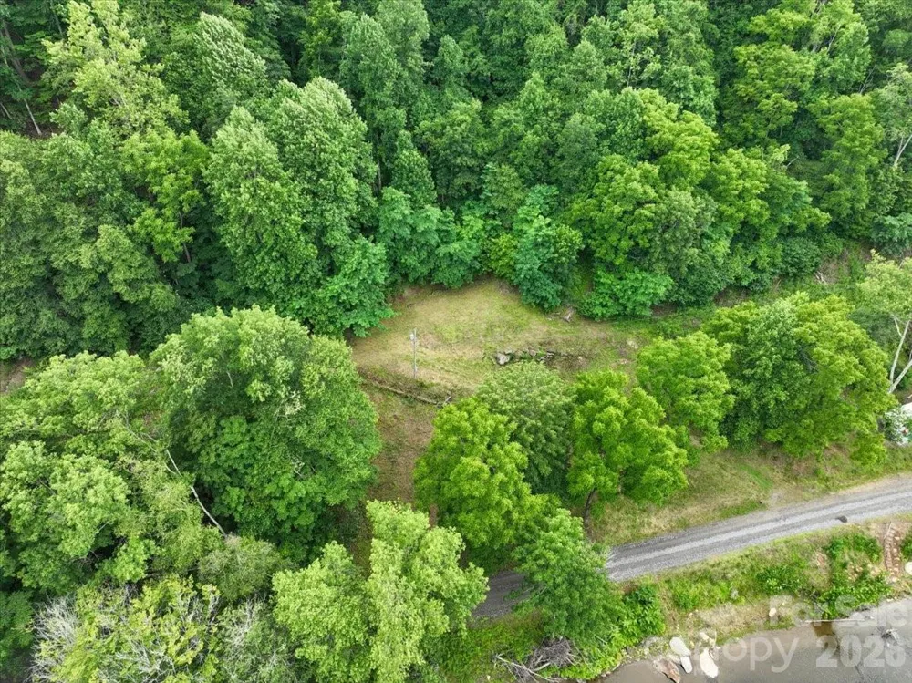 2079 Roses Branch Road Green Mountain, NC 28740