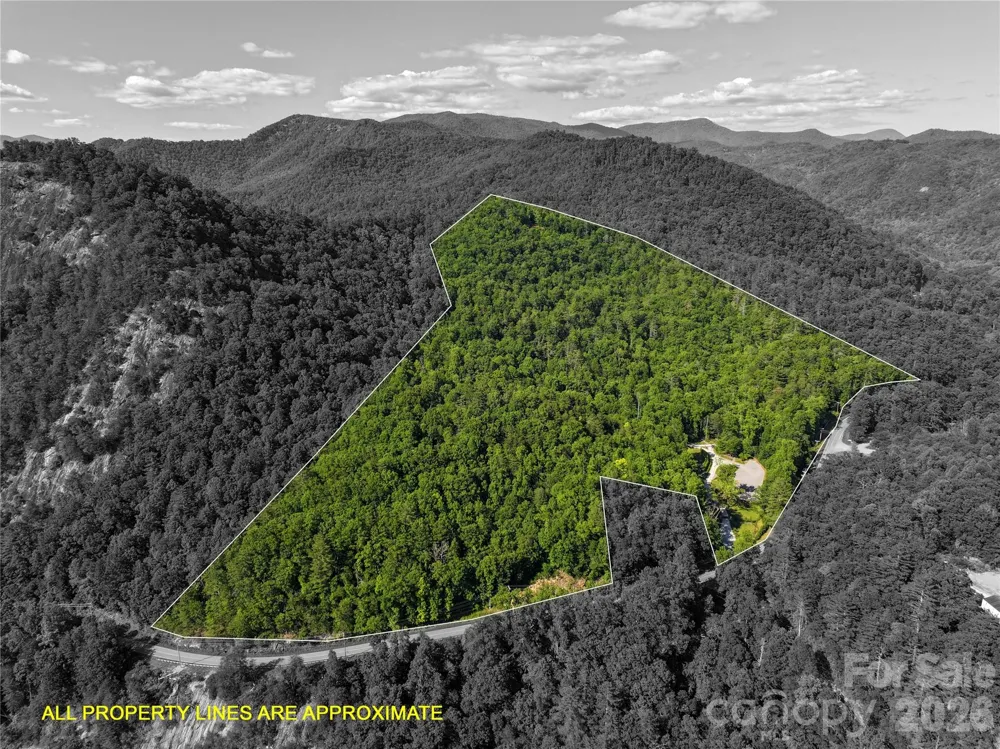 4017 Canada Road Tuckasegee, NC 28783