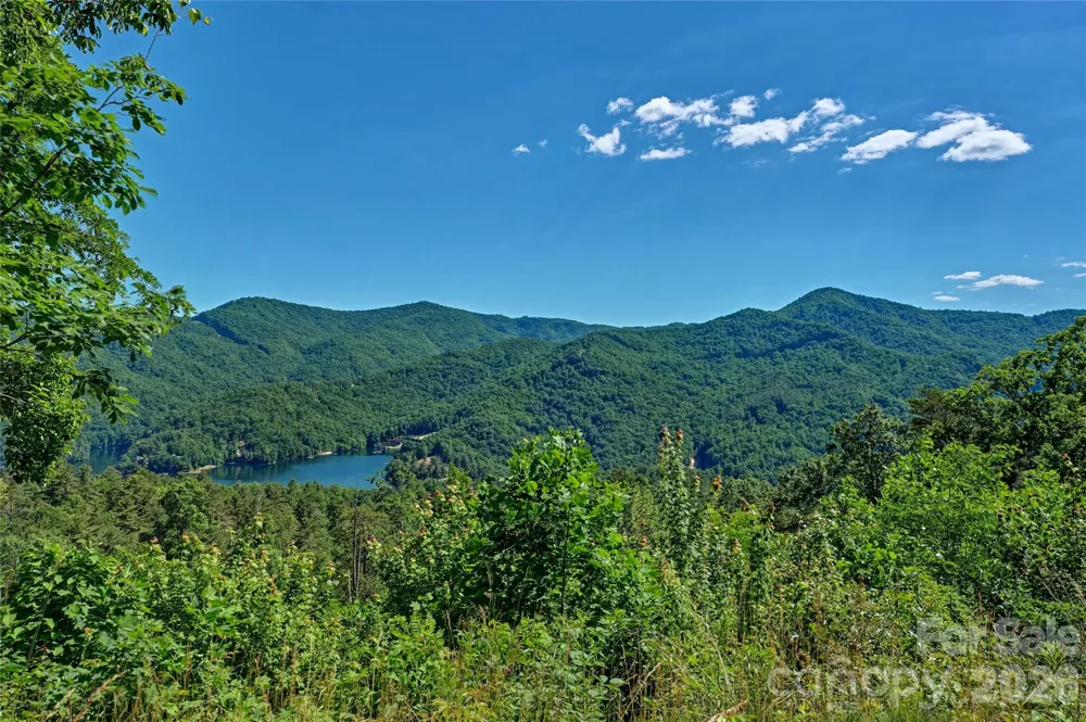 4017 Canada Road Tuckasegee, NC 28783