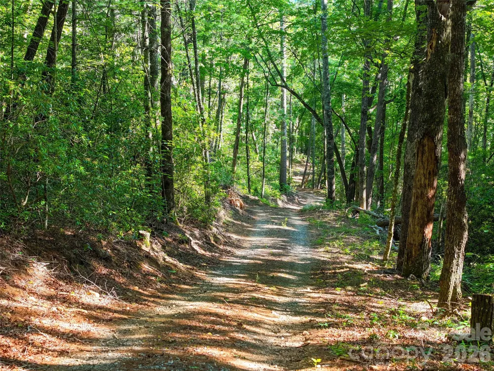 4017 Canada Road Tuckasegee, NC 28783