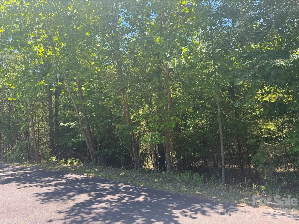 0 Desota Ridge #363 Rutherfordton, NC 28139