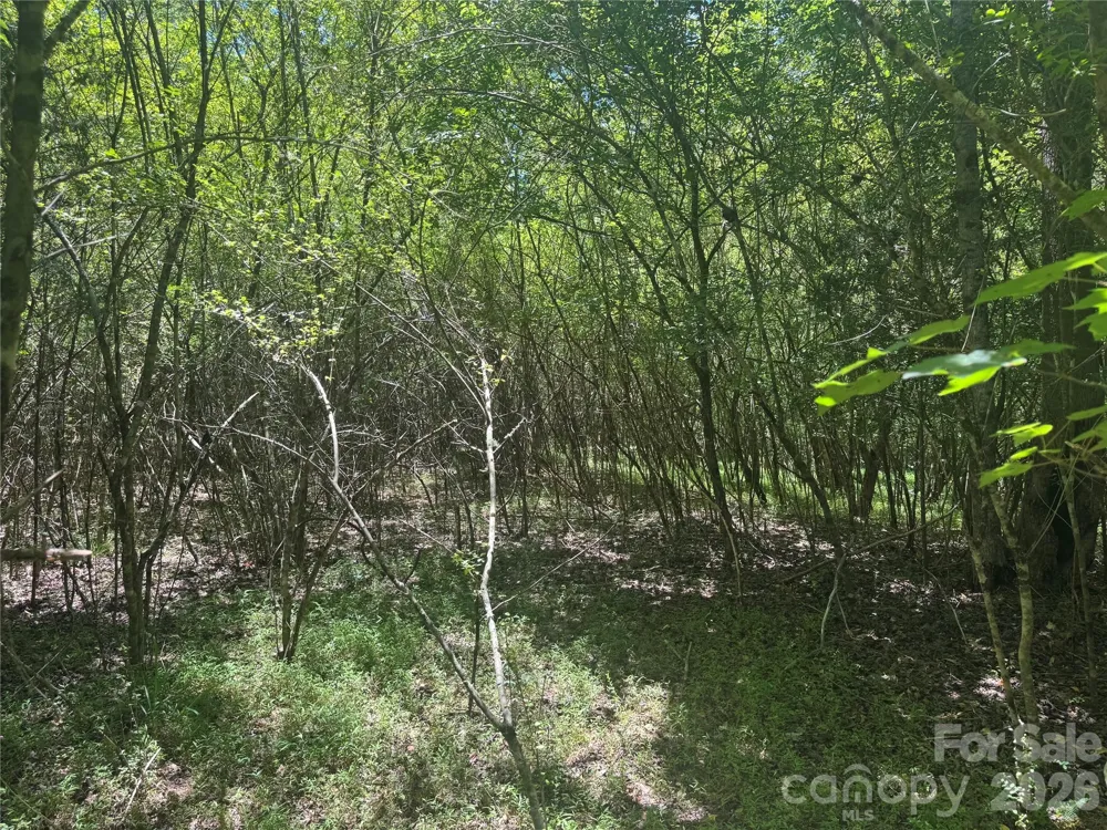 0 Desota Ridge #363 Rutherfordton, NC 28139