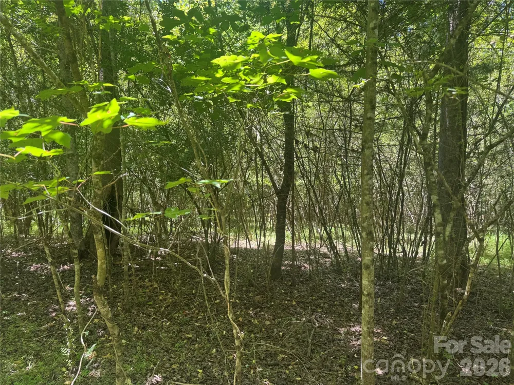 0 Desota Ridge #363 Rutherfordton, NC 28139
