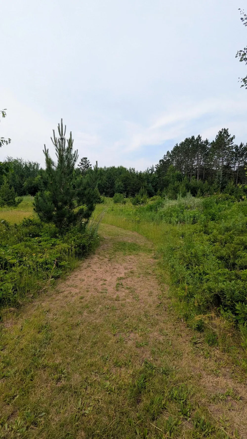 86196 Military Road Sturgeon Lake, MN 55783