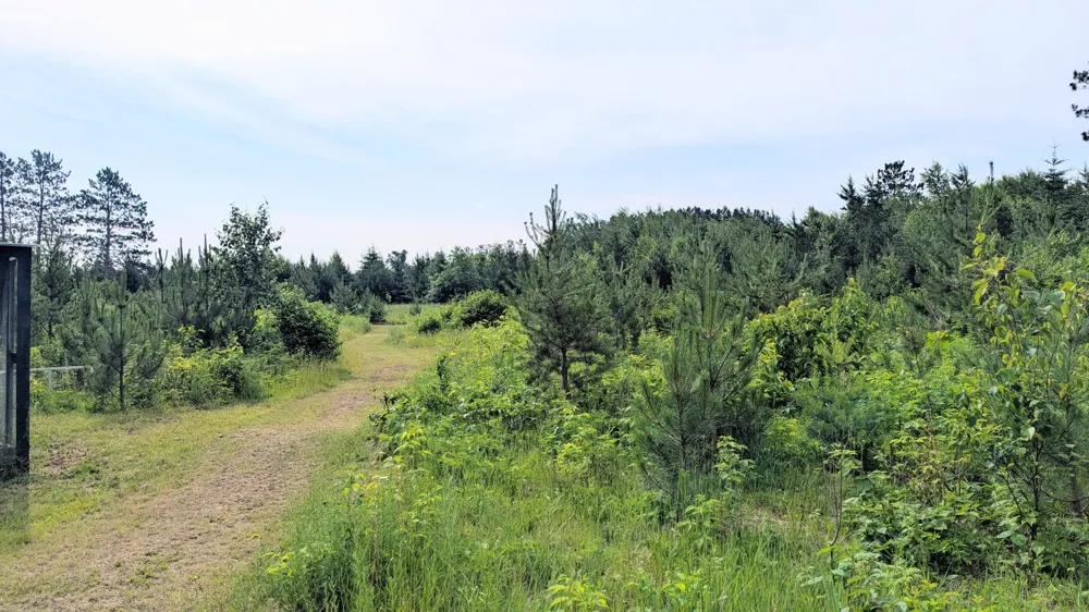 86196 Military Road Sturgeon Lake, MN 55783