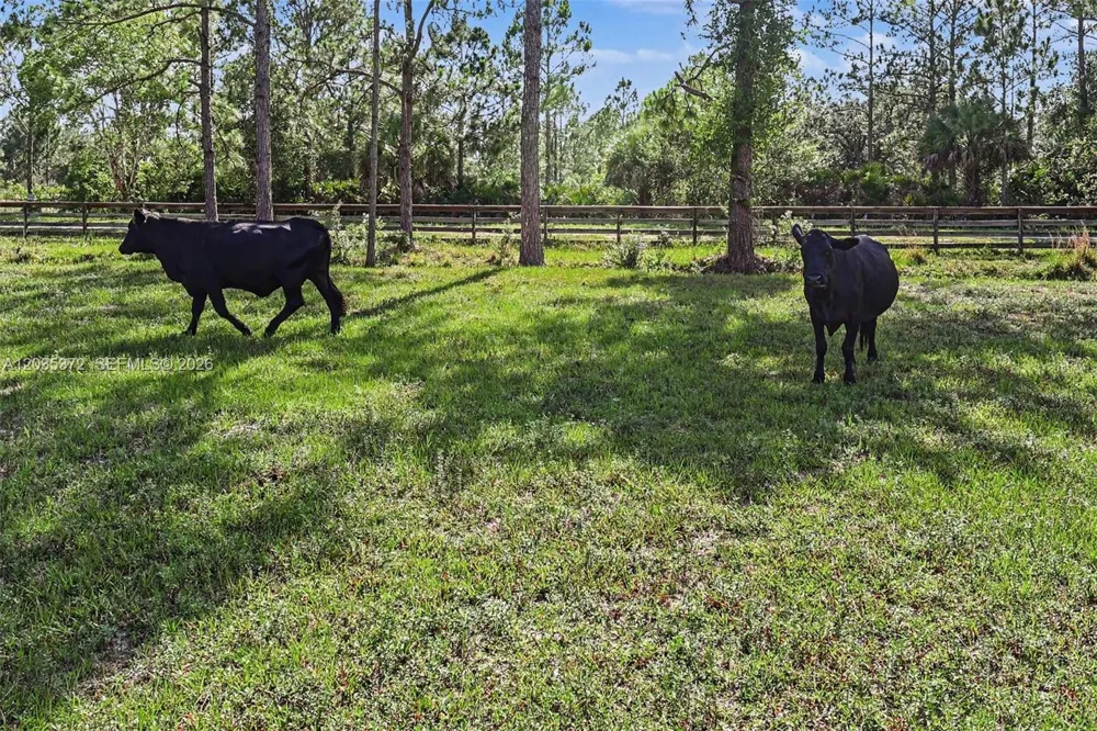 2291 Secretariat Drive Other City - In The State Of Florida, FL 33935