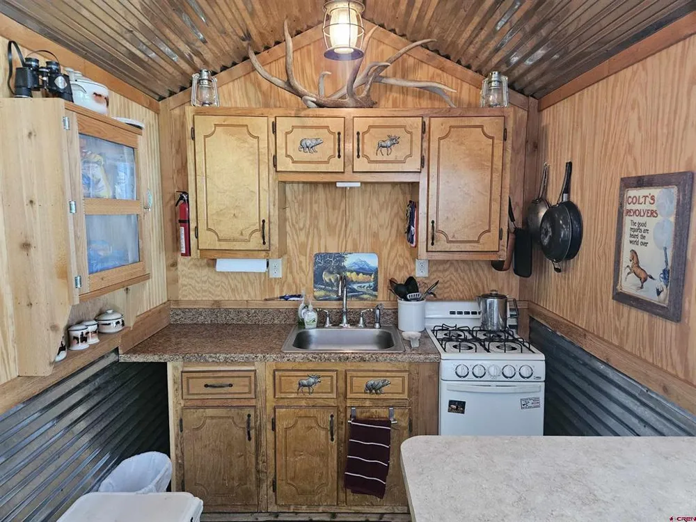 53 Crooked Rd Pagosa Springs, CO 81147