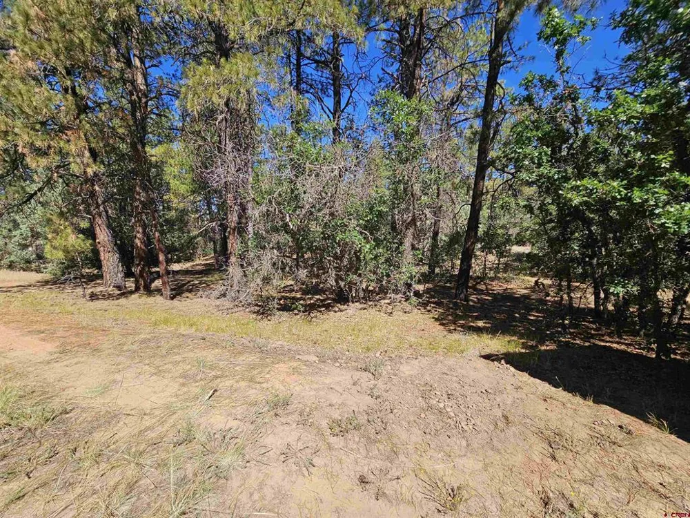 53 Crooked Rd Pagosa Springs, CO 81147
