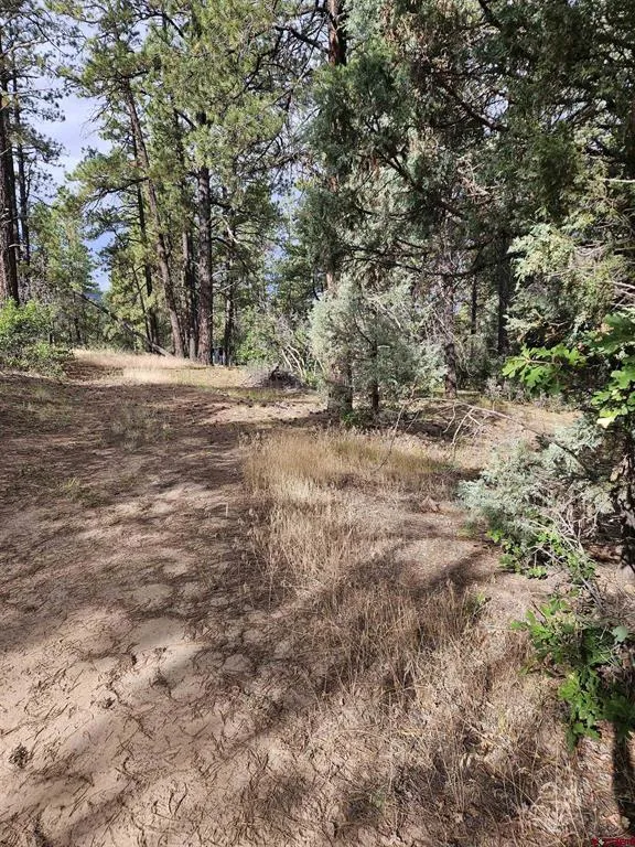 53 Crooked Rd Pagosa Springs, CO 81147