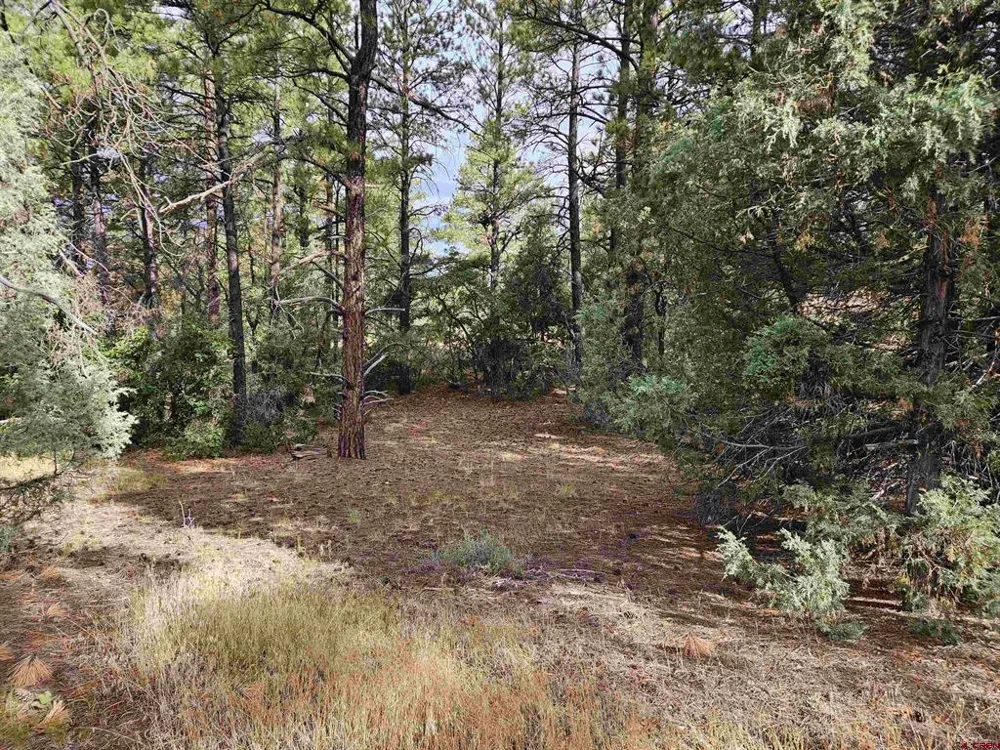 53 Crooked Rd Pagosa Springs, CO 81147