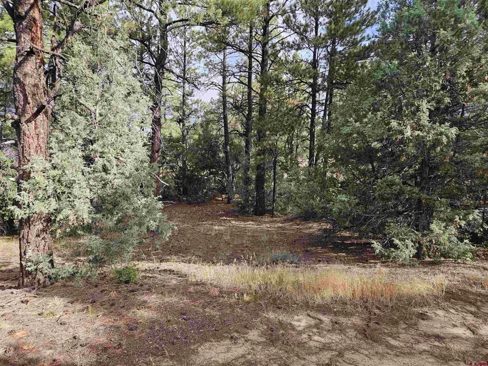 53 Crooked Rd Pagosa Springs, CO 81147