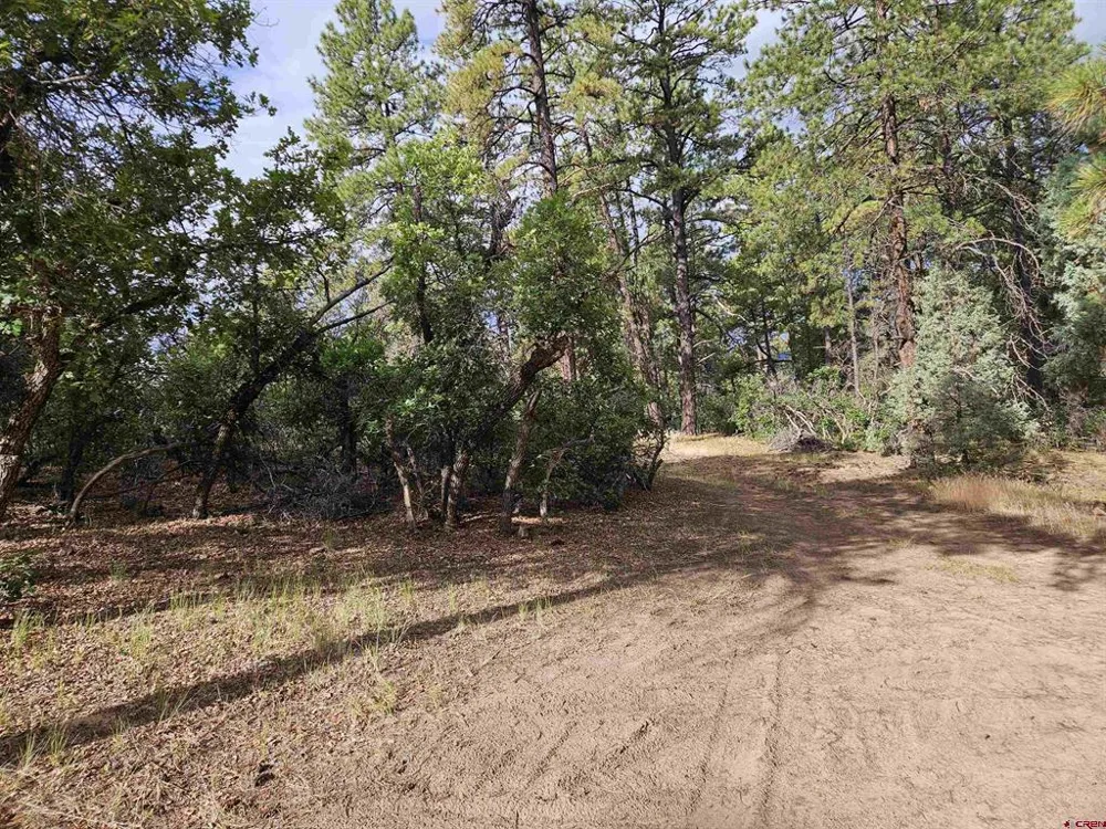 53 Crooked Rd Pagosa Springs, CO 81147