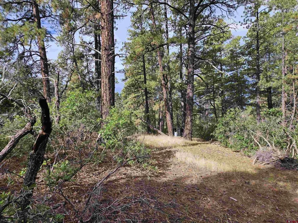 53 Crooked Rd Pagosa Springs, CO 81147