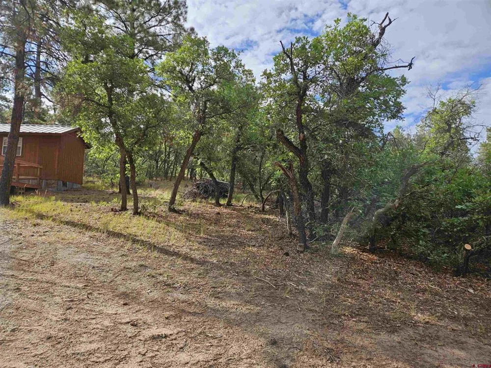 53 Crooked Rd Pagosa Springs, CO 81147