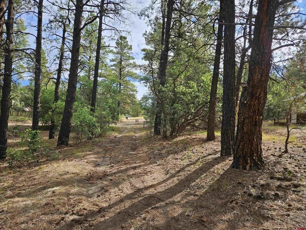 53 Crooked Rd Pagosa Springs, CO 81147