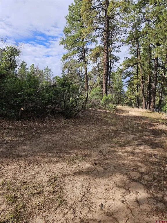 53 Crooked Rd Pagosa Springs, CO 81147