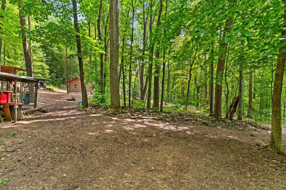 307 Smith Mountain Road Dunlap, TN 37327