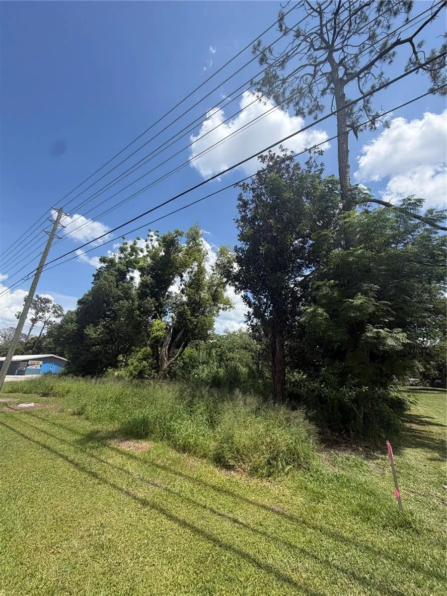14435 OAK STREET Groveland, FL 34736