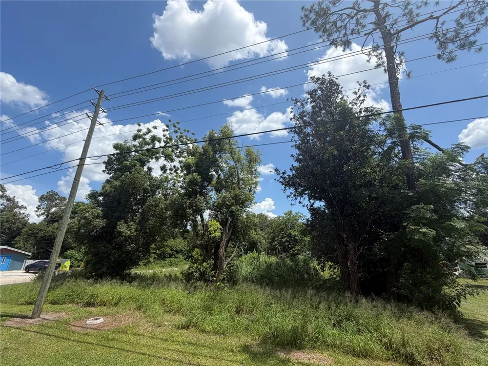 14435 OAK STREET Groveland, FL 34736