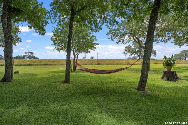 351 ROSEWOOD DR La Vernia, TX 78121
