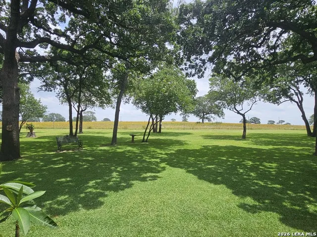351 ROSEWOOD DR La Vernia, TX 78121