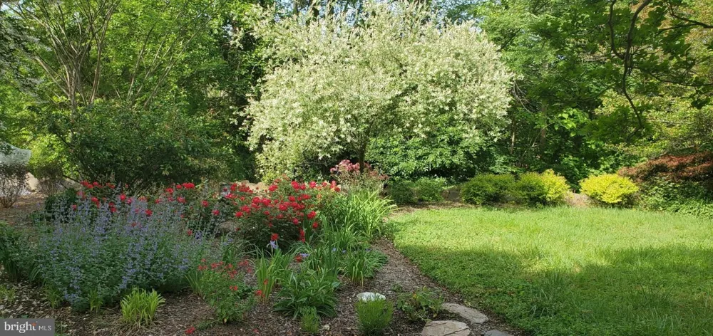 4310 BIDDISON LANE Baltimore, MD 21206