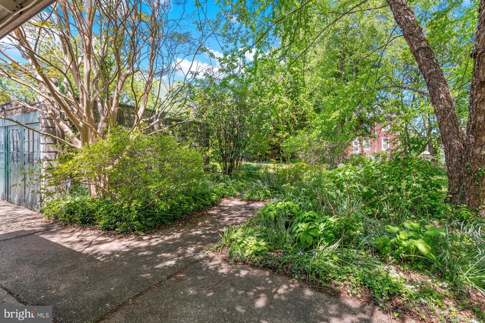 4310 BIDDISON LANE Baltimore, MD 21206