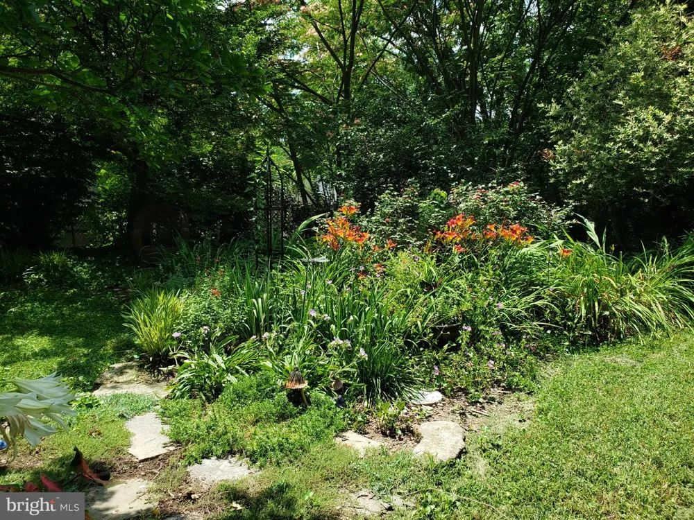 4310 BIDDISON LANE Baltimore, MD 21206
