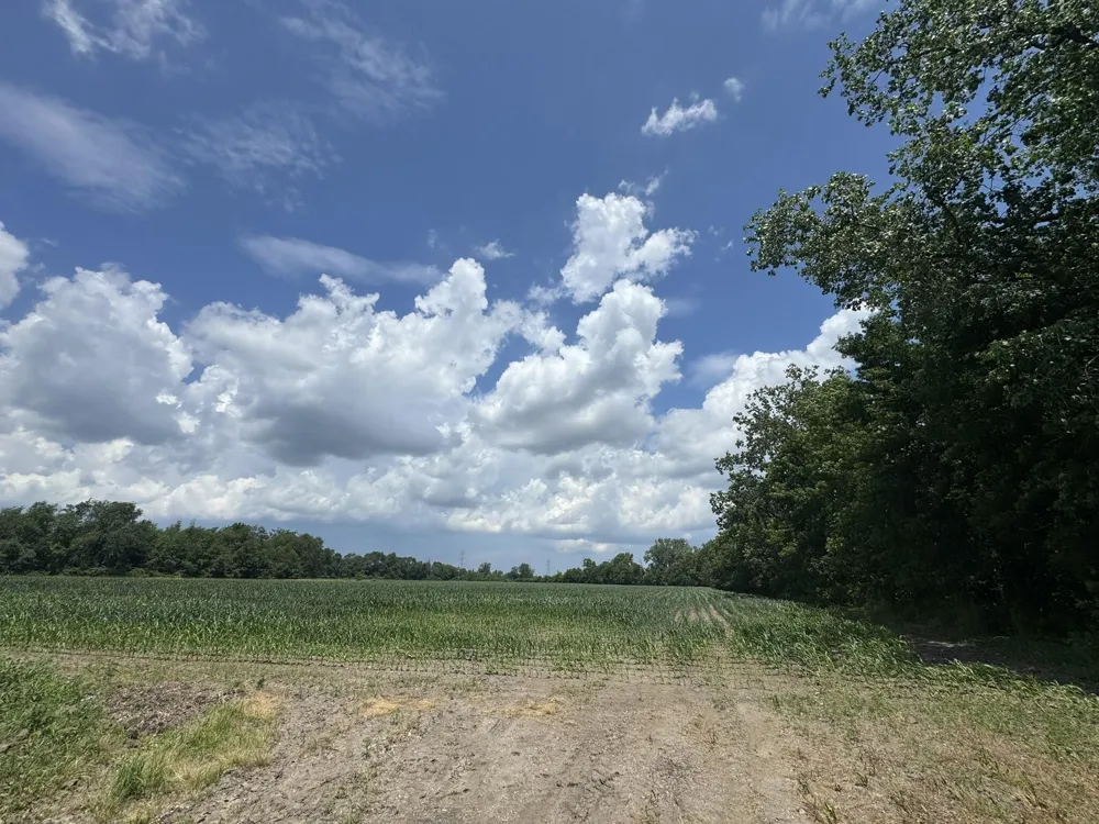 31890 Edison Road New Carlisle, IN 46552