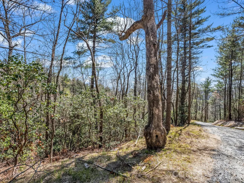999 Bulling Creek Drive Hendersonville, NC 28739