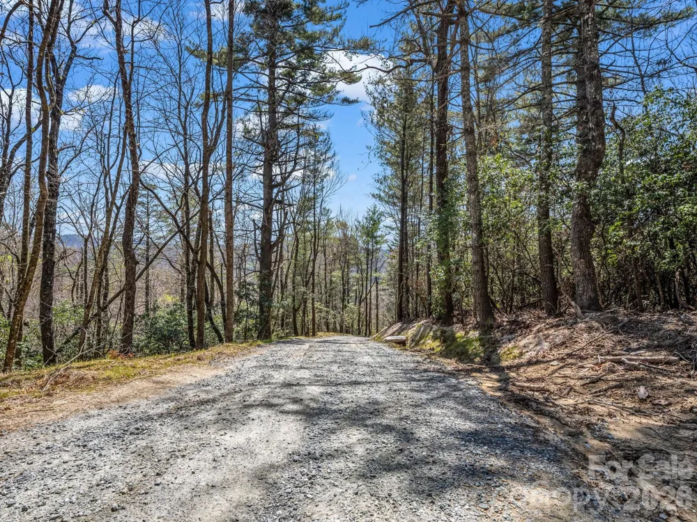999 Bulling Creek Drive Hendersonville, NC 28739