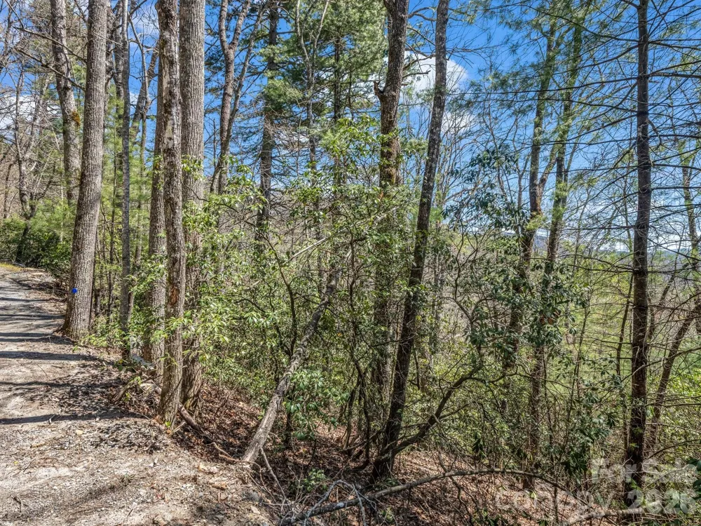 999 Bulling Creek Drive Hendersonville, NC 28739