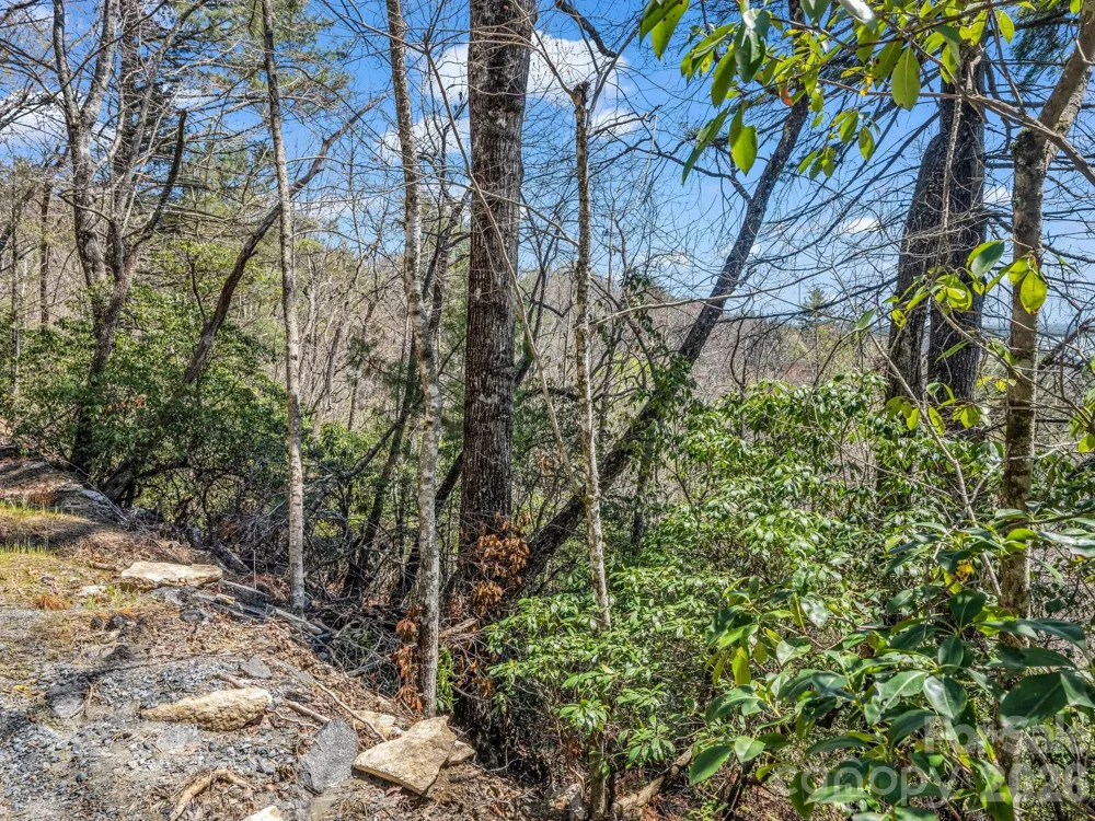 999 Bulling Creek Drive Hendersonville, NC 28739