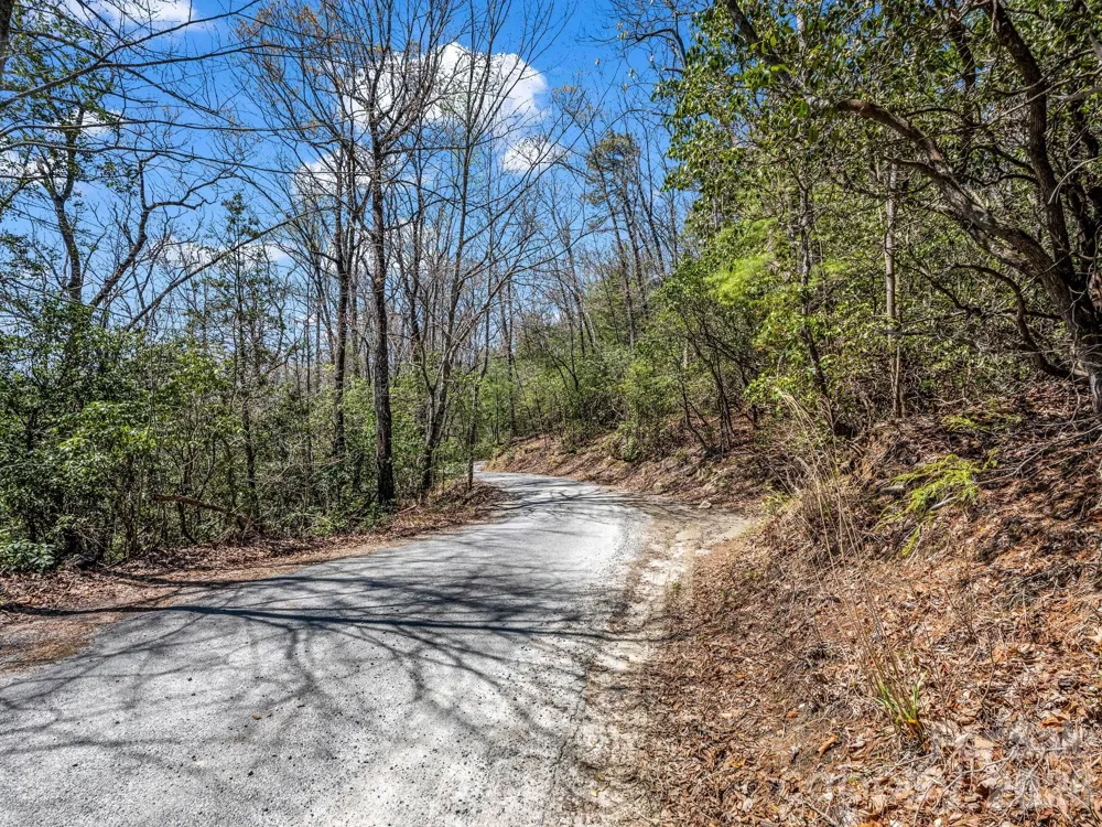 999 Bulling Creek Drive Hendersonville, NC 28739