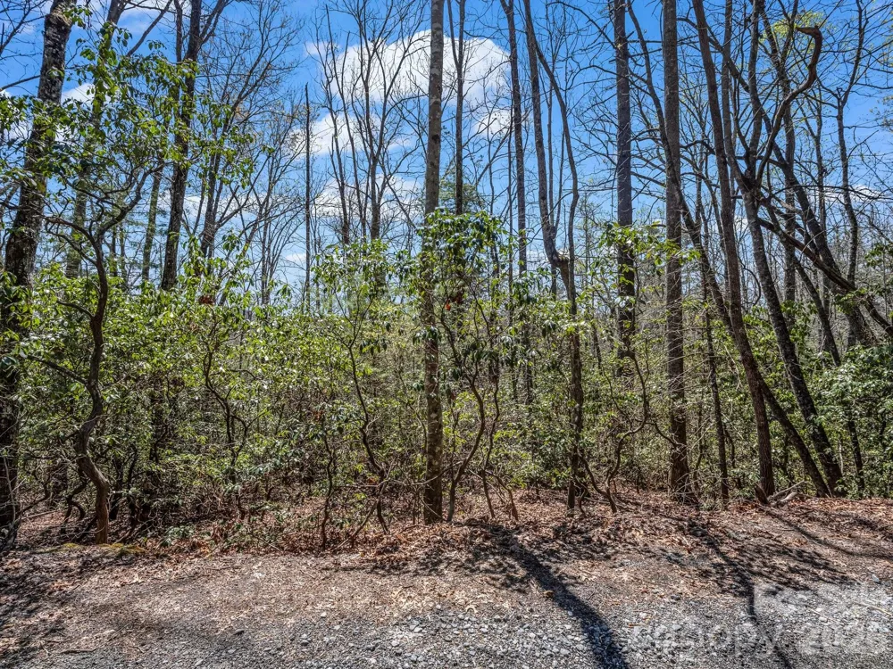 999 Bulling Creek Drive Hendersonville, NC 28739