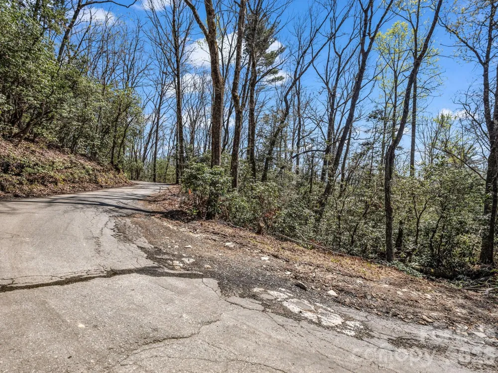 999 Bulling Creek Drive Hendersonville, NC 28739