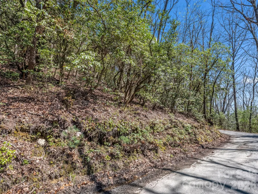 999 Bulling Creek Drive Hendersonville, NC 28739