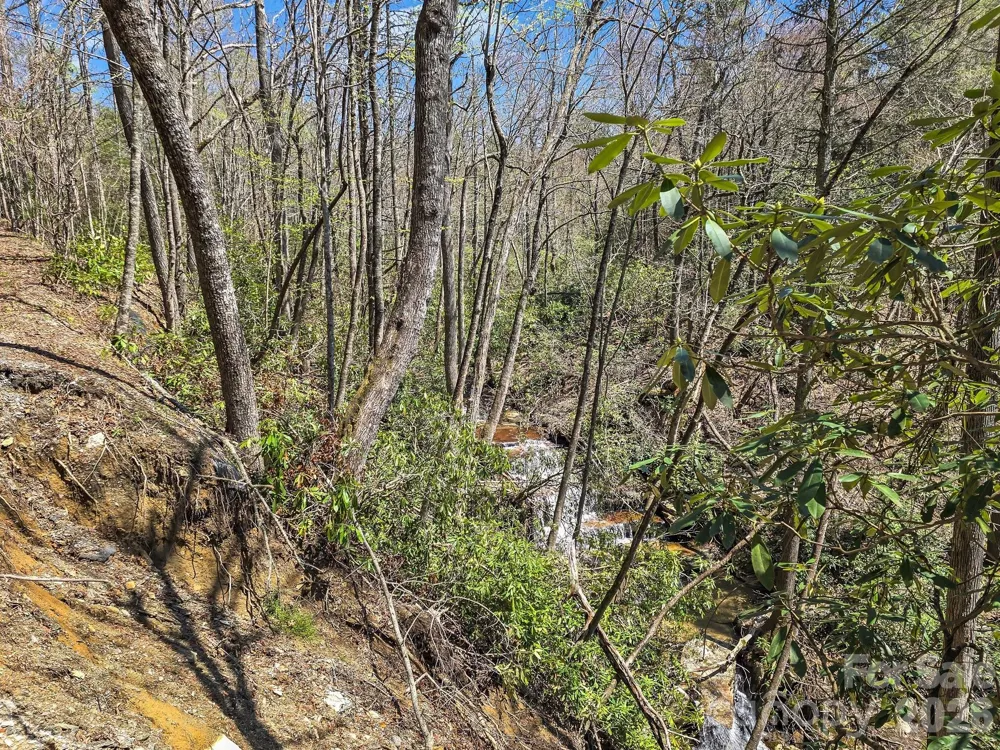 999 Bulling Creek Drive Hendersonville, NC 28739