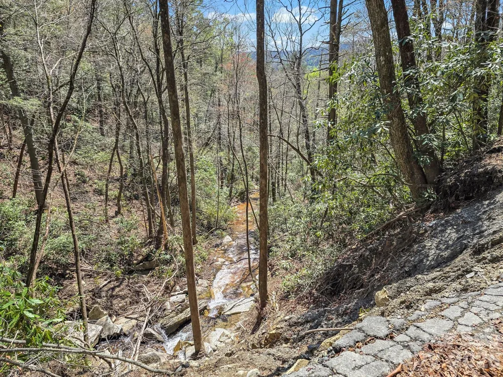 999 Bulling Creek Drive Hendersonville, NC 28739