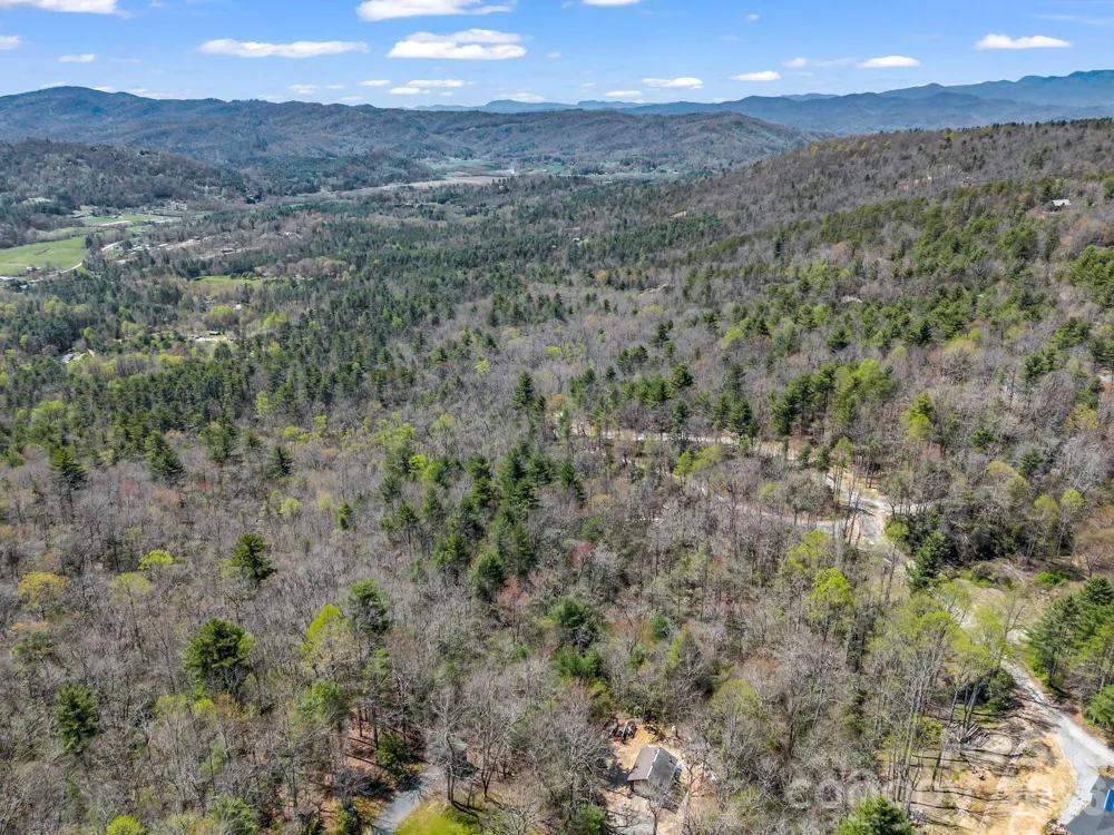 999 Bulling Creek Drive Hendersonville, NC 28739
