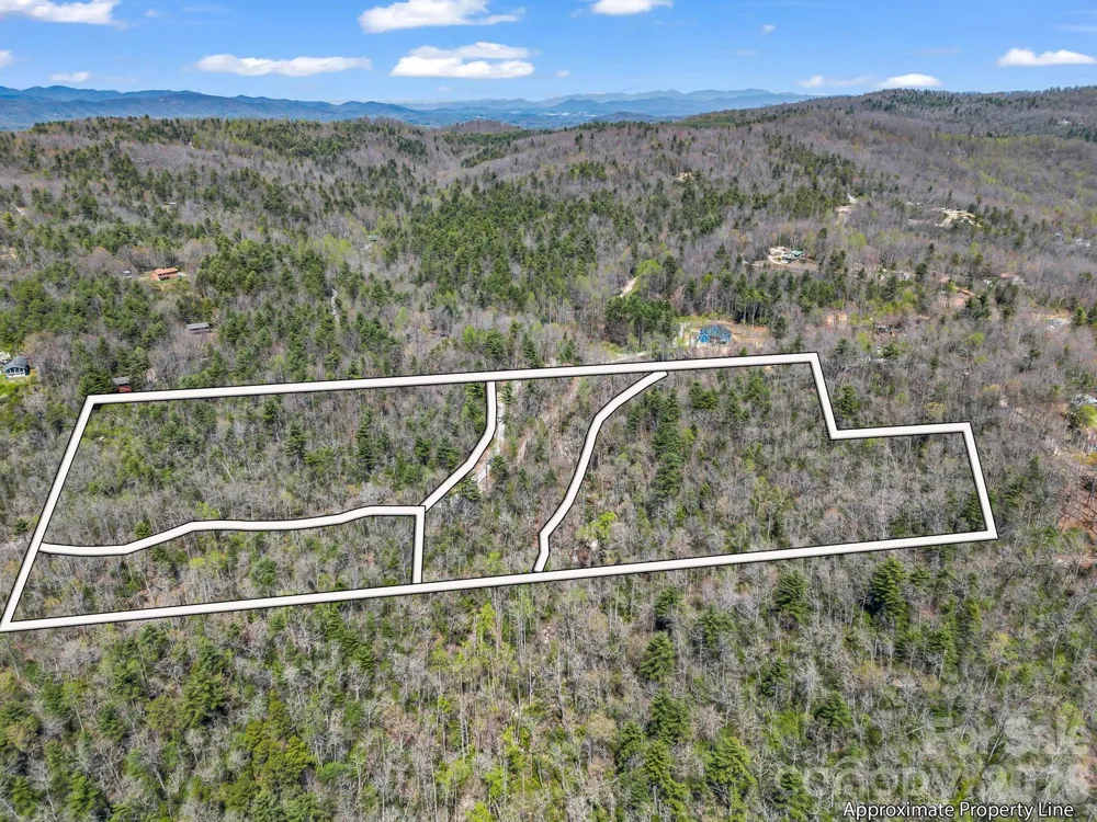 999 Bulling Creek Drive Hendersonville, NC 28739