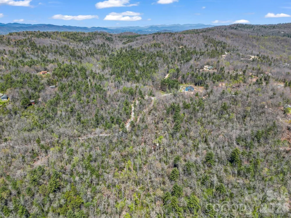 999 Bulling Creek Drive Hendersonville, NC 28739