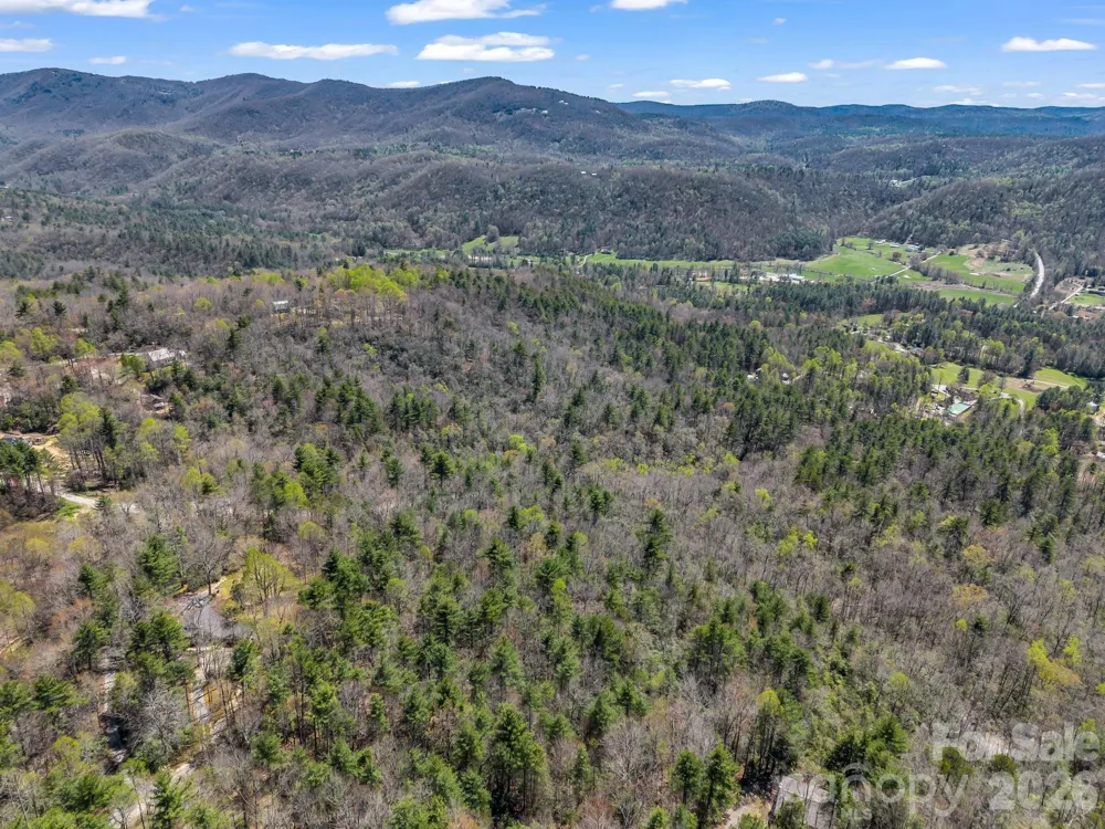 999 Bulling Creek Drive Hendersonville, NC 28739