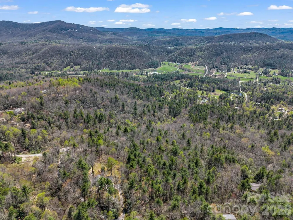 999 Bulling Creek Drive Hendersonville, NC 28739